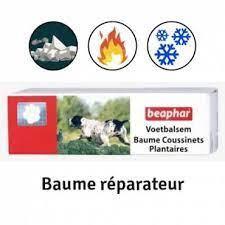 Baume coussinets chiens elevage du bois foucher