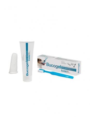 Dentifrice pour chiens elevage du bois foucher